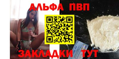 спиды Гатчина