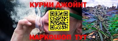 спиды Гатчина