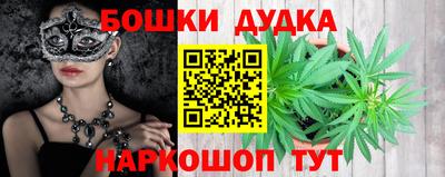 спиды Гатчина
