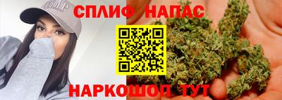 эйфоретик Гай