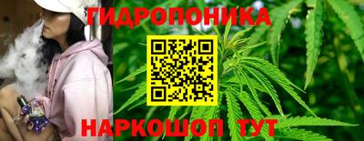 эйфоретик Гай