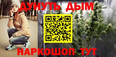 эйфоретик Гай