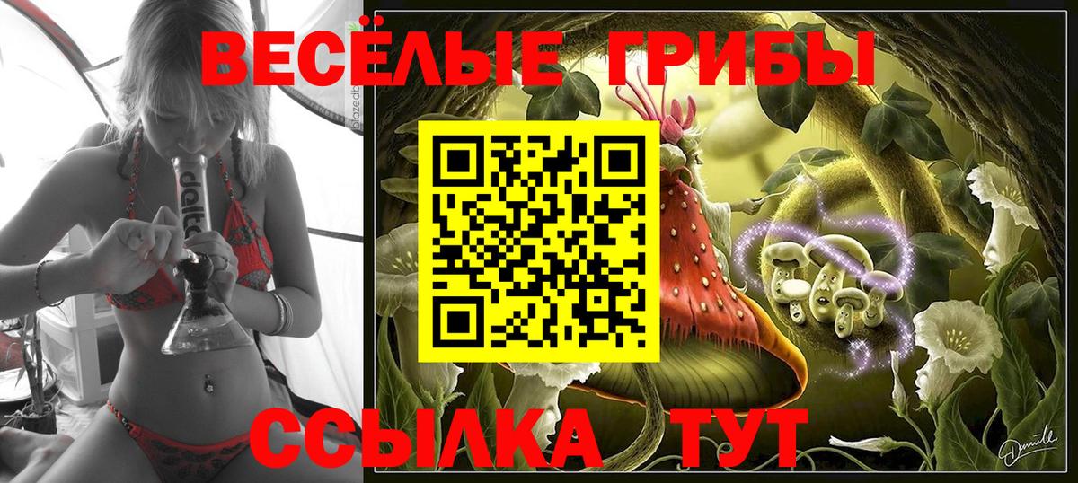Псилоцибиновые грибы Cubensis Глазов